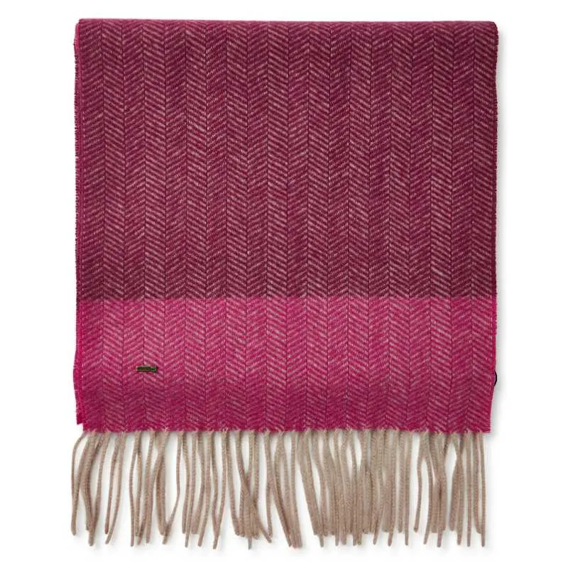 Dubarry Keena Ladies Wool Scarf - Oxblood